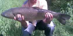 2009 Graskarpfen Wb2